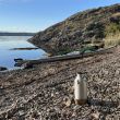 'Base Camp' 1.6 ltr (Anodised Alu. Kettle) + Whistle + Steel Fire-Base - Boat Beach Break