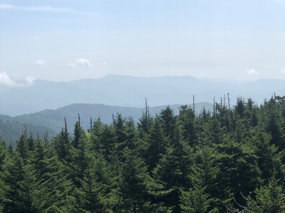 Would have to have coffee while hiking through the great smoky mountains, especially while enjoying a view from Clingmans Dome!