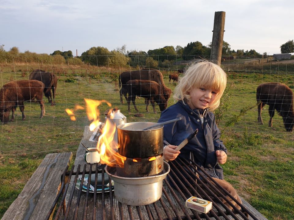Teaching kids (and bovines) the power of fire.  I went camping with my 4-year old the other day and we had a blast with ye trusty ol' Kelly'n'Hobo combo making hot chocolate & coffee, cooking porridge and popping popcorn.
