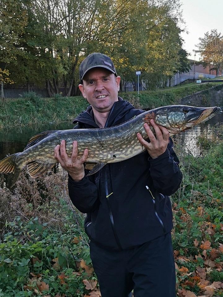A personal best I had on the royal canal on Halloween this year. A nice 14-15lb urban pike was a bit nippy that day. Pity Kelly wasn't there to warm me  up 